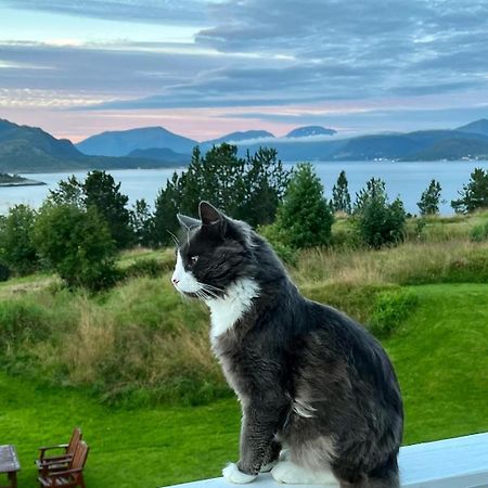 Wake Up To A Beautiful View And Smell Of The Sea Leilighet Kristiansund Eksteriør bilde