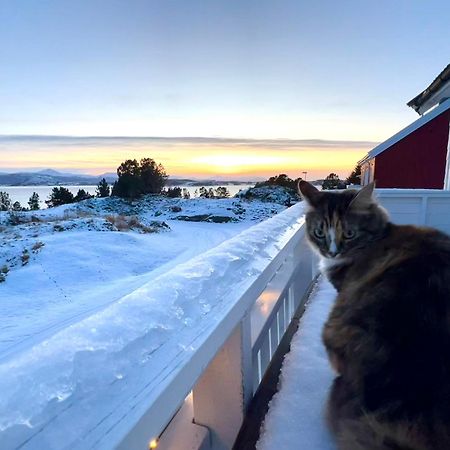 Wake Up To A Beautiful View And Smell Of The Sea Leilighet Kristiansund Eksteriør bilde