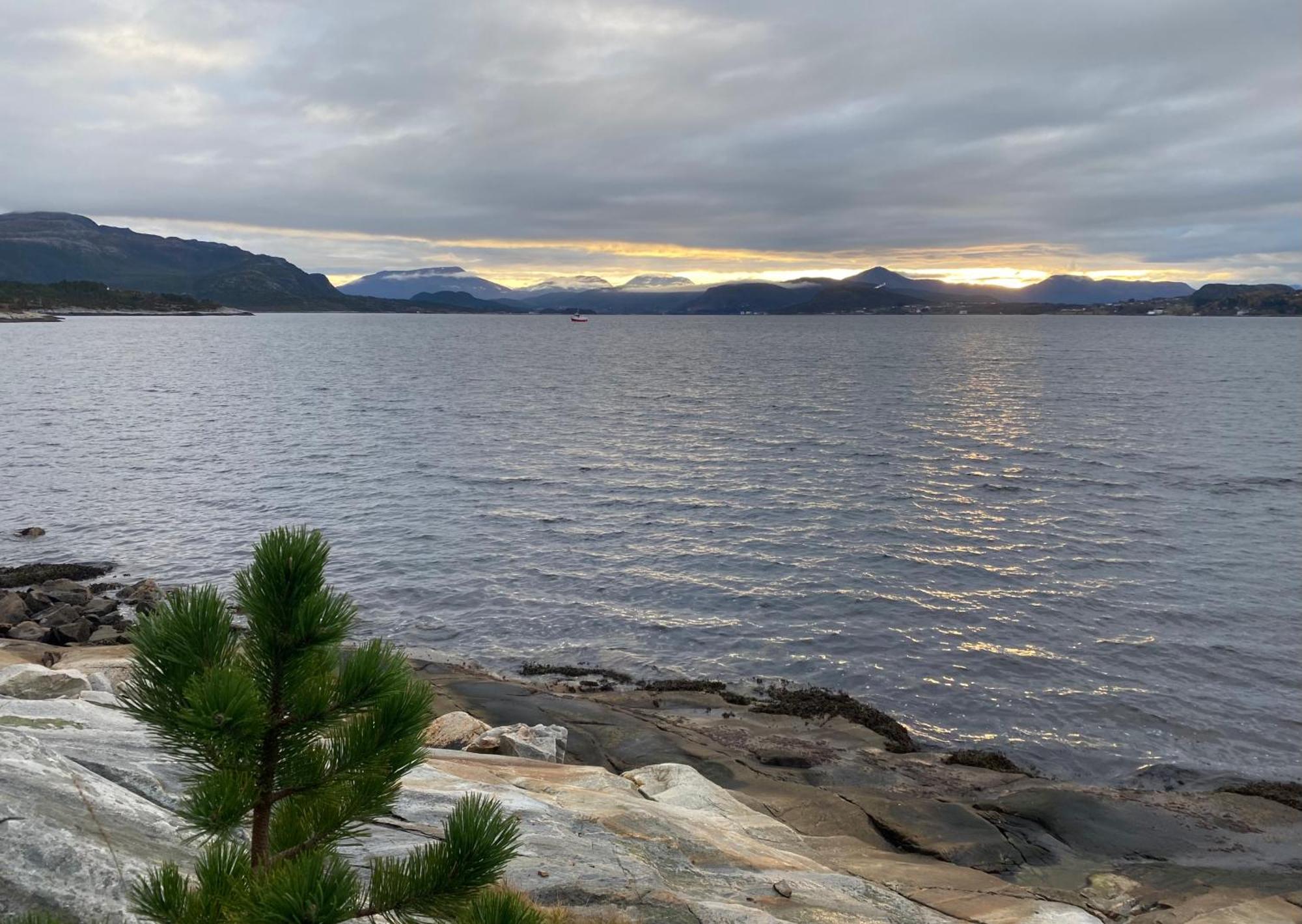 Wake Up To A Beautiful View And Smell Of The Sea Leilighet Kristiansund Eksteriør bilde